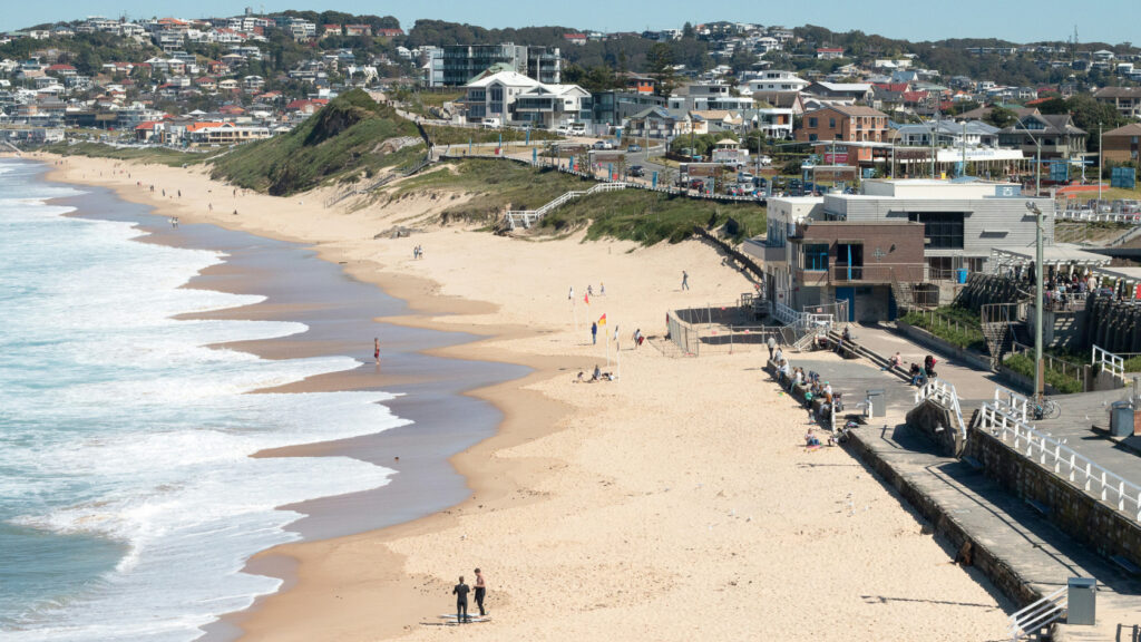 tax agent newcastle